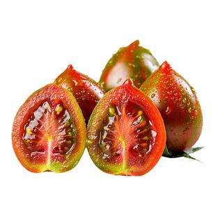 花绣球小番茄苗多彩迷你圣女果苗彩色西红柿幼苗四季阳台盆栽观赏