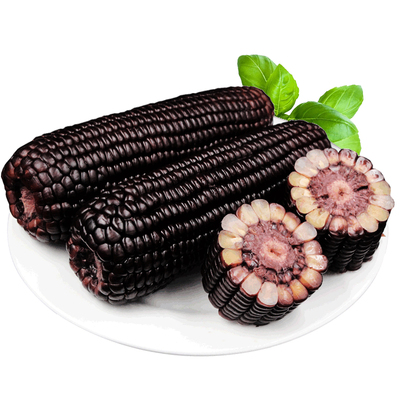 待见山西香甜软糯黑玉米