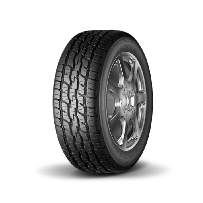 Cooper/固铂225/55R17汽车轮胎