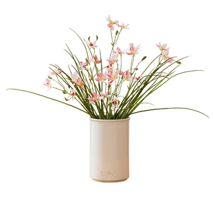 掬涵仿真花小枝葱兰花艺摆件塑料花洋葱草小植物叶子插花花艺造景