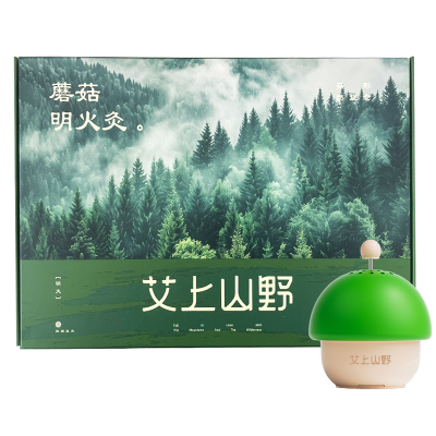 元气达人小悬灸艾灸盒小蘑菇悬灸