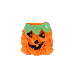 万圣节衣服宠物过节服饰搞笑变身装狗狗服饰小型犬成年猫猫搞怪服