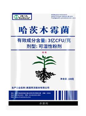 美国拜沃哈茨木霉菌根部
