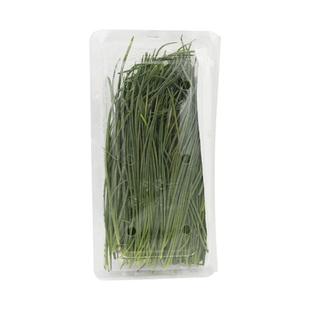 新鲜沙葱250g/盒 小葱香葱辛香脆爽美味民勤特产 任搭5件顺丰包邮