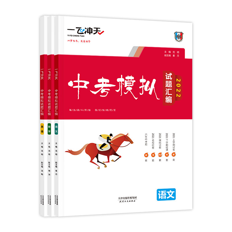 一飞冲天中考模拟试题汇编