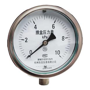 东亚仪表膜盒压力表YE-100天然燃气表检测天千帕管道微压0-10MPA