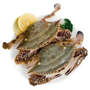 【保鲜不保活】莱州湾梭子蟹红膏蟹满黄母蟹飞蟹海蟹特大母蟹螃蟹