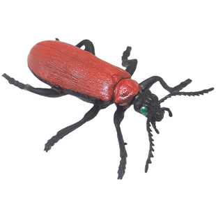 仿真红百合甲虫知了蟋蟀模型独角仙儿童玩具蜉蝣昆虫标本蝼蛄教育