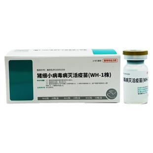 中牧猪细小病毒灭活疫苗预防猪流产死胎猪疫苗4ml/10瓶整盒价包邮
