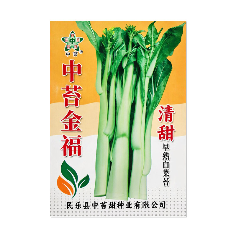 中苔金福早熟白菜苔种子