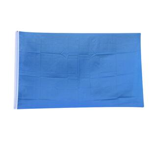 旗帜定做4号国旗纯色红旗彩旗大活动红旗空白旗户外装饰3号2号5号