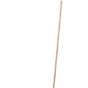 竹竿菜园搭架立柱专拍 白竹\碳化黄瓜架篱笆栅栏定制竹杆装饰防腐