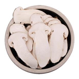 冻干松茸云南野生松茸菌5-7-9CM不开伞纯中片香格里拉松茸干货