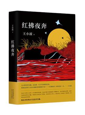 红拂夜新经典王小波小说