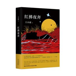 当当网 红拂夜奔 王小波 现代当代文学散文小说随笔 对趣味的向往的书 王小波著百日全集时代三部曲 黄金时代一只特立独行的猪作者