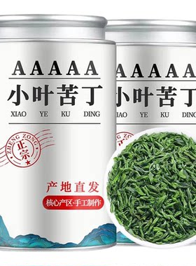 2026新茶明前头采小叶苦丁绿茶