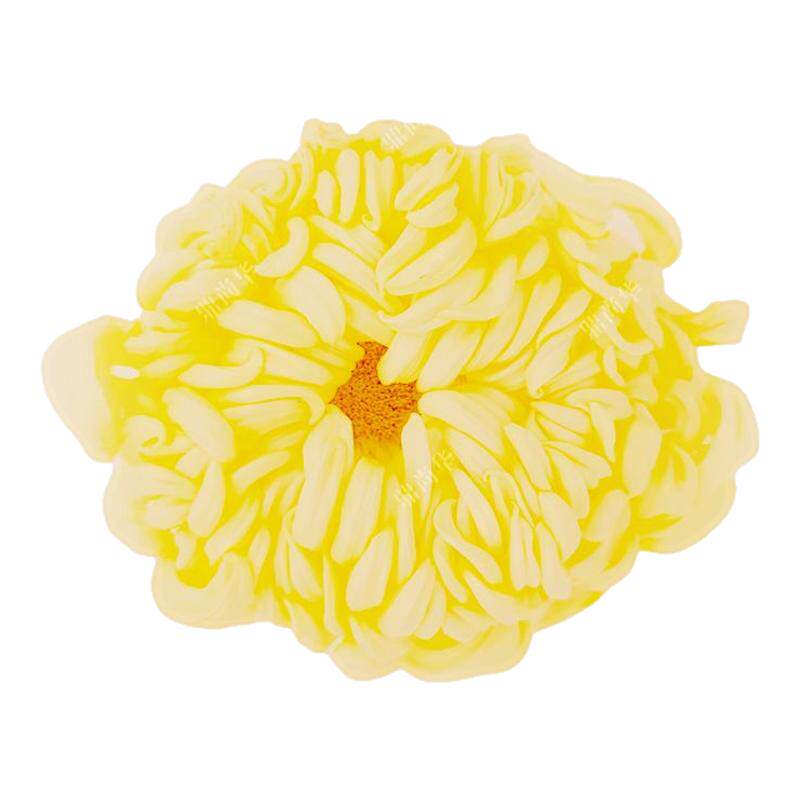 新鲜冰芯糖菊2025新品