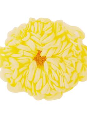 新鲜冰芯糖菊2025新品