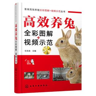 高效养兔全彩图解 视频示范 养兔营养需求饲料配制技术兔群繁殖 养兔饲养管理 饲料配制兔病防治 家兔肉兔獭兔长毛兔观赏养殖书籍