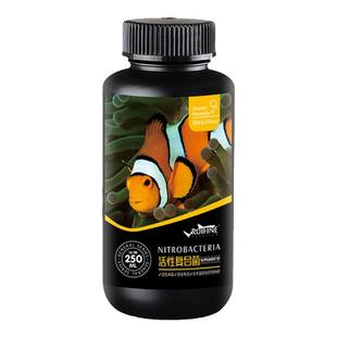 瑞丰海水硝化细菌活性复合菌干式复合菌法国科迪海缸硝化细菌