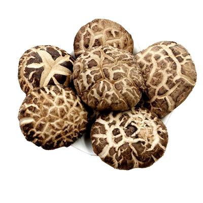 东北特产长白山大花菇纯剪腿500g