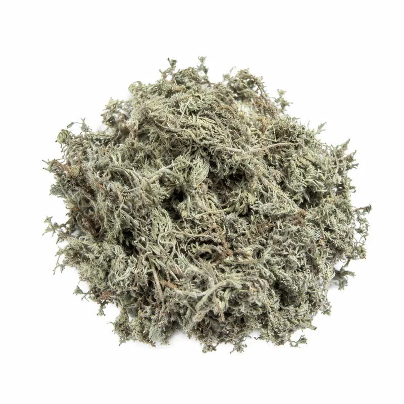 野生棉茵陈500g新货泡茶包邮