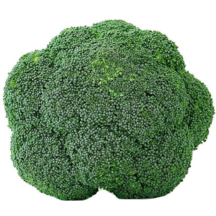 西兰花苗秧苗花椰菜苗青梗松花菜苗甘蓝苗秋冬西蓝花菜苗种子高产