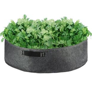 Bloombgz巨型种植袋种树种菜专用袋特大加厚无纺布美植袋耐用花盆