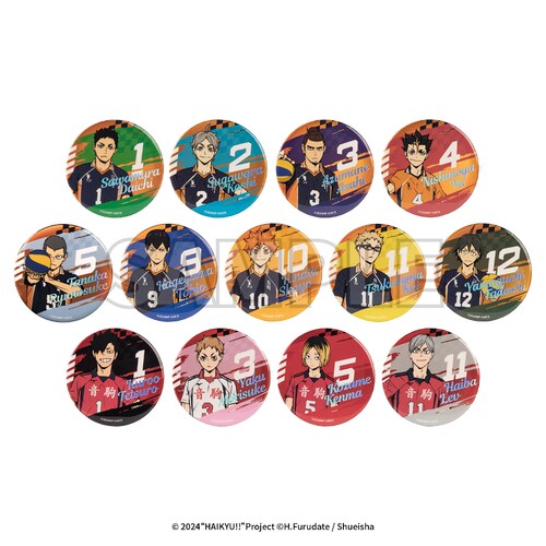 【51特惠】排球少年浮雕马口铁徽章盲盒75mm 全13款