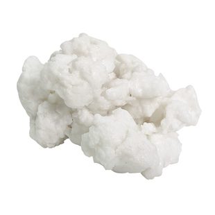 太岁肉灵芝收藏臻品纯天然溶洞野生整活体精品白肉石太岁泡水养生