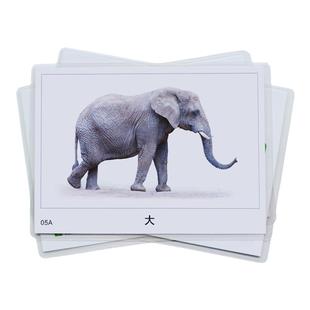 反义词卡片 自闭症儿童语言训练卡认知教具配对相对词孤独症康复