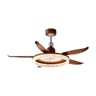 2026新款客厅主灯静音遥控风扇灯创意现代简约餐厅吊扇灯全屋灯具