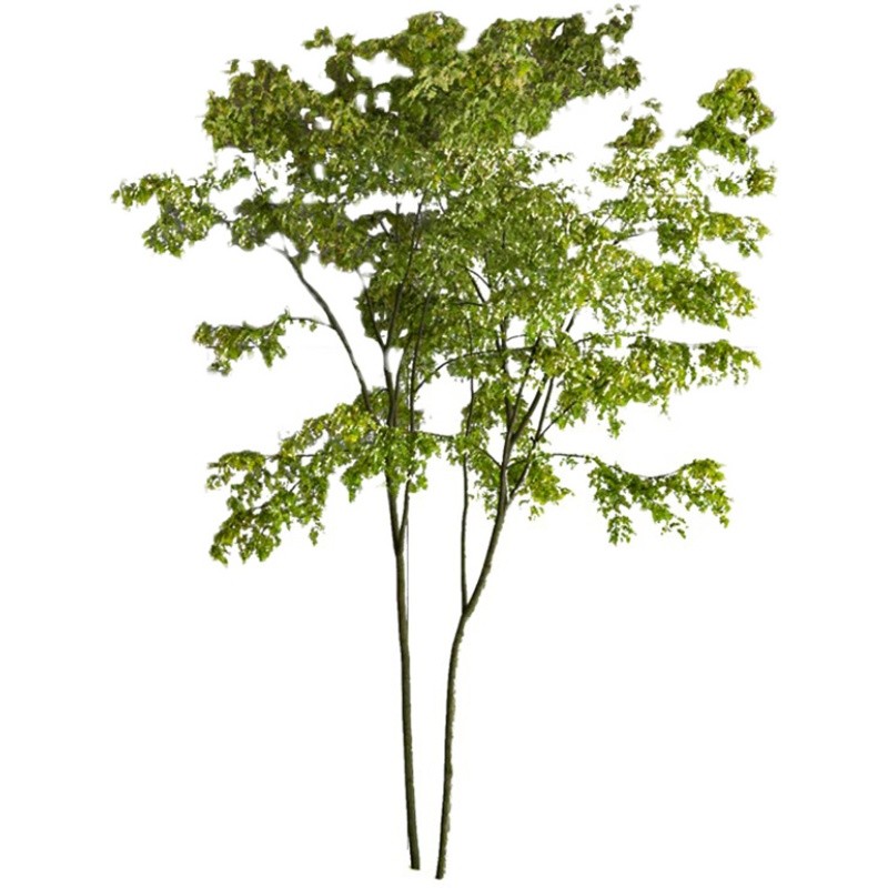 海虹景观仿真绿植假树仿真树植物造景大树盆栽榕树橱窗酒店装饰树