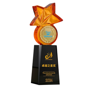 创意水晶奖杯定制定做高端大气年会颁奖优秀员工冠军荣誉纪念奖牌