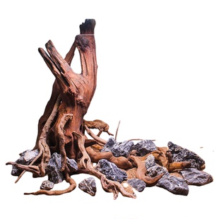 生命之树沉木骨架定制鱼缸造景树桩木头枝条新手装饰树全套装木头