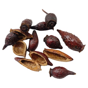 野生金樱子中药材男性泡酒去籽三蒸三晒金英子牛大力风流果养生茶