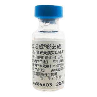 进口英特威锐必威犬猫狂犬疫苗猫咪狗狗狂犬育苗宠物狂犬疫苗1针