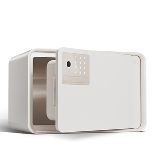 得力2025年新款保险柜小型商用防盗保险箱家用衣柜指纹密码钥匙自动开门保管箱20/25cm全钢实心箱体AE222