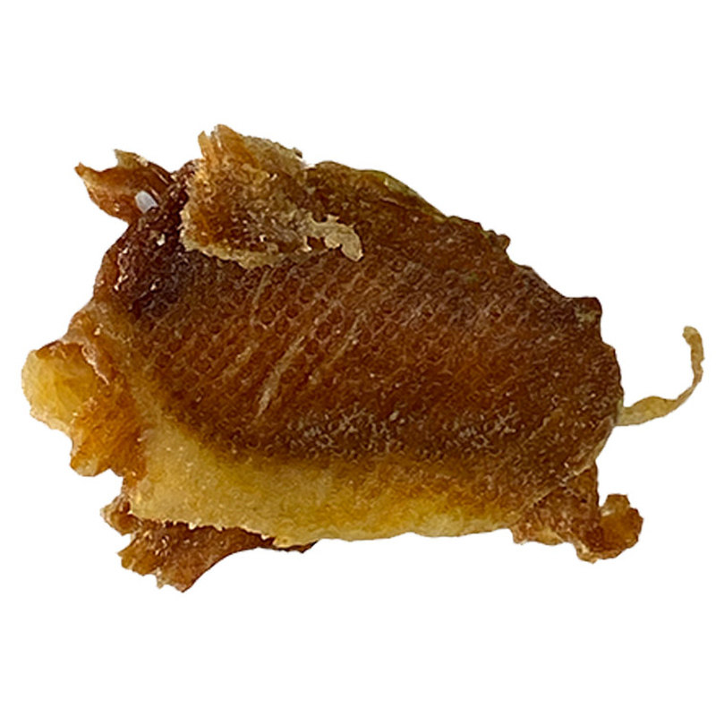 IMOC小李的伊比利亚黑猪肉肉干好吃的零食猪肉脯脆片薄脆香脆肉类