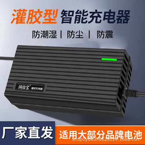 防水智能电动车电瓶充电器48V12AH60V20A72V天能超威铅酸电池两轮