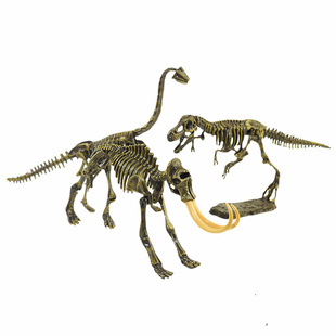 考古仿真恐龙骨架化石模型拼装动物玩具霸王龙翼龙剑龙恐龙蛋桶装