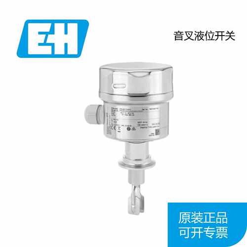 议价全新 EH FTL63-2280/0音叉液位开关FTL63-AAA2ADAAD1AJND5ZJ