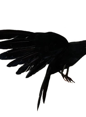 仿真摄影道具教学演示园林景观