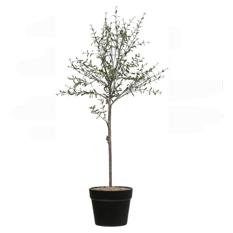 刹寂孤独的百里香盆栽仿真植物