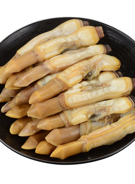 鲜活现剥蛏子肉超大个4XL11只