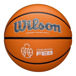 代购Wilson威尔胜篮球高抓地力稳定飞行耐磨表面精准控球Evo NXT