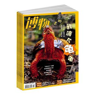 【送好礼】博物杂志 2026年1月起订 1年12期国家地理青少年8-15岁中小学生自然科普百科全书非万物好奇号阳光少年报杂志铺包邮