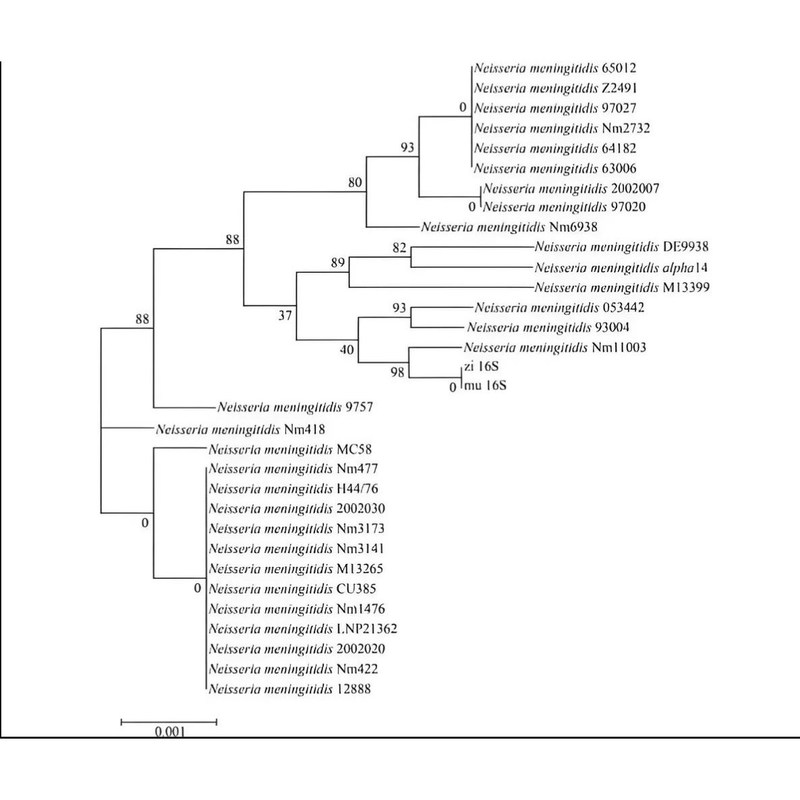 生信分析 网路药理学服务 单细胞测序转录组 数据挖掘代做