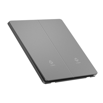 国际电工超薄哑光肤感二开双控