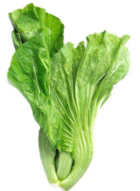 四川芥菜种籽大肉酸菜鱼泡菜